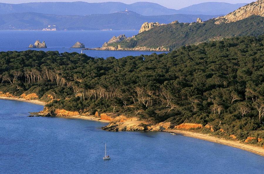 Hotel Le Mediterranee Hyeres Ngoại thất bức ảnh
